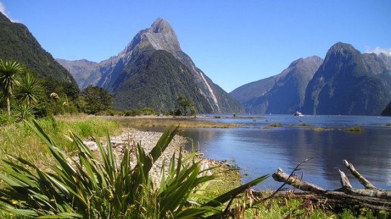 Fiordland