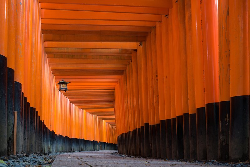 Red Tori Gates, Kyoto